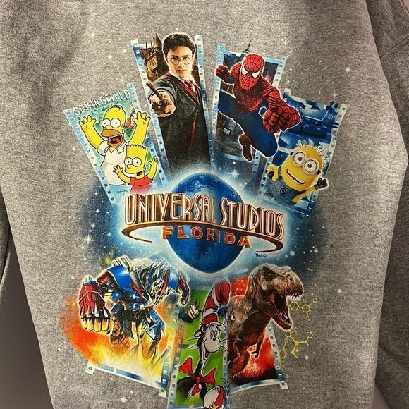 Universal Studios Kids Marvel Harry Potter Dr. Seuss Transformers Gray Hoodie S - Picture 11 of 15